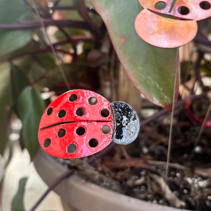 Copper Enamel Ladybug