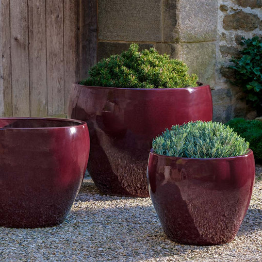 Campania Cabachon Planter