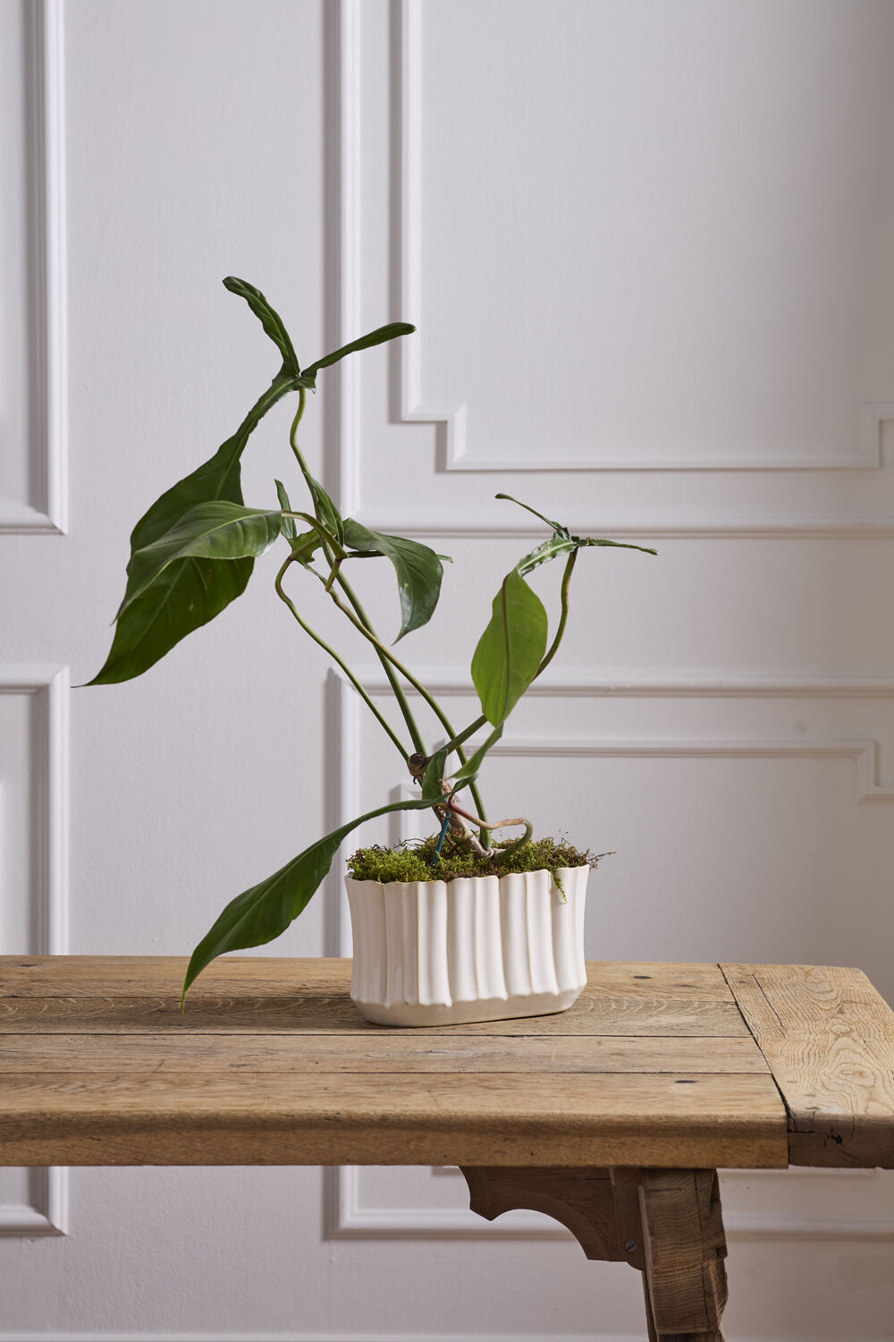 Everleaf Trough
