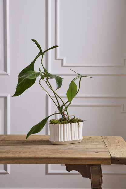 Everleaf Trough