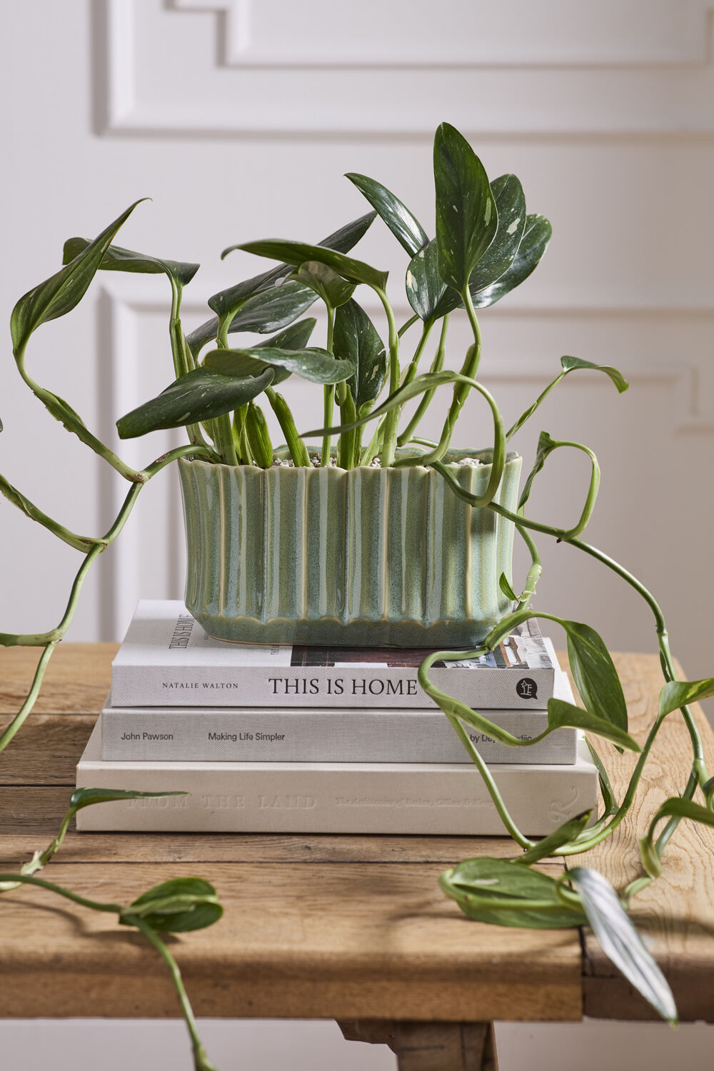 Everleaf Trough