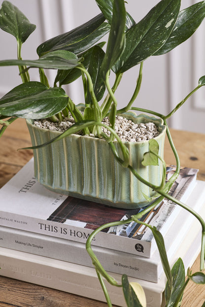 Everleaf Trough