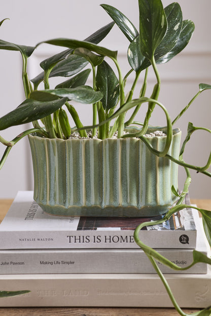 Everleaf Trough