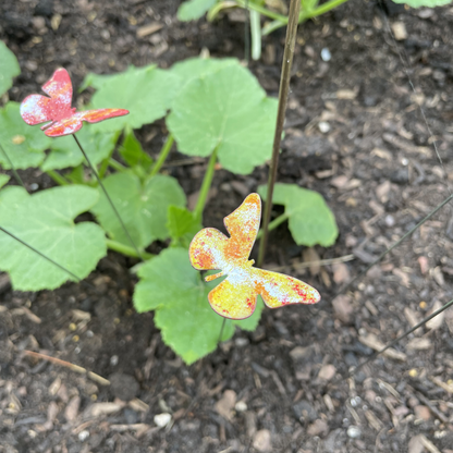 Copper Enamel Butterfly