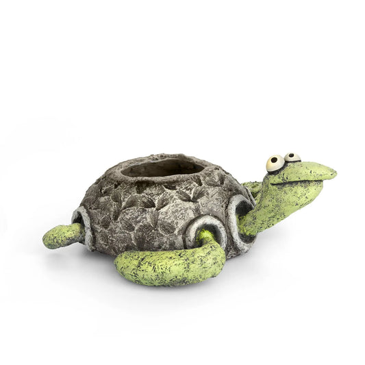 Kai, Sea Turtle Blobhouse Planter