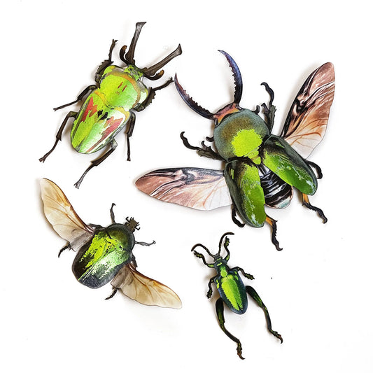 'Undergrowth' Foil-Embellished Beetle 4 piece Set