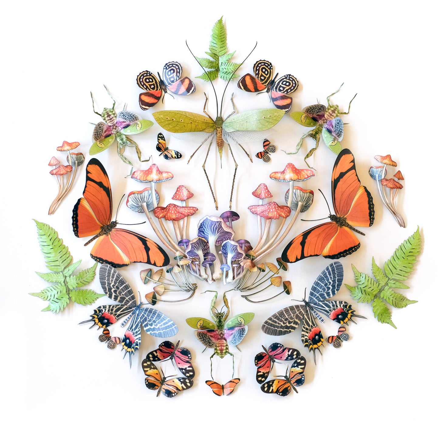 Ferns & Friends Psychedelic Mini Collection - 7 Piece Set