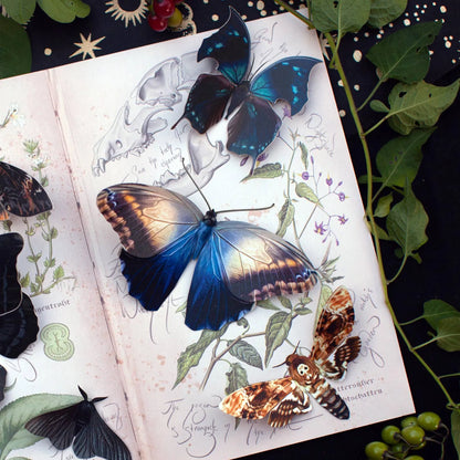 Halloween 'Hatchet' Paper Butterfly Set