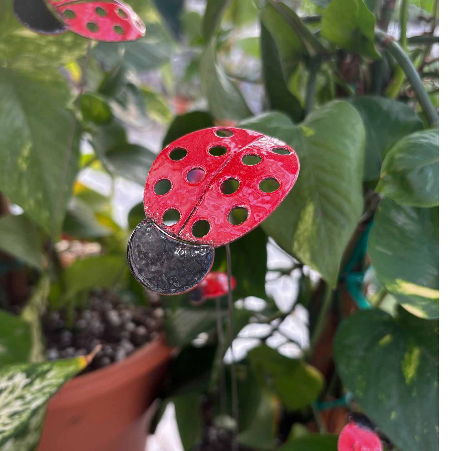 Copper Enamel Ladybug