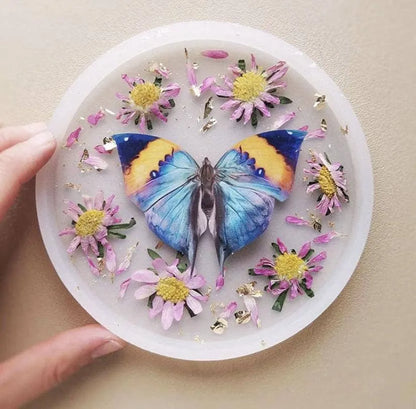 'Dawn' Butterfly Set