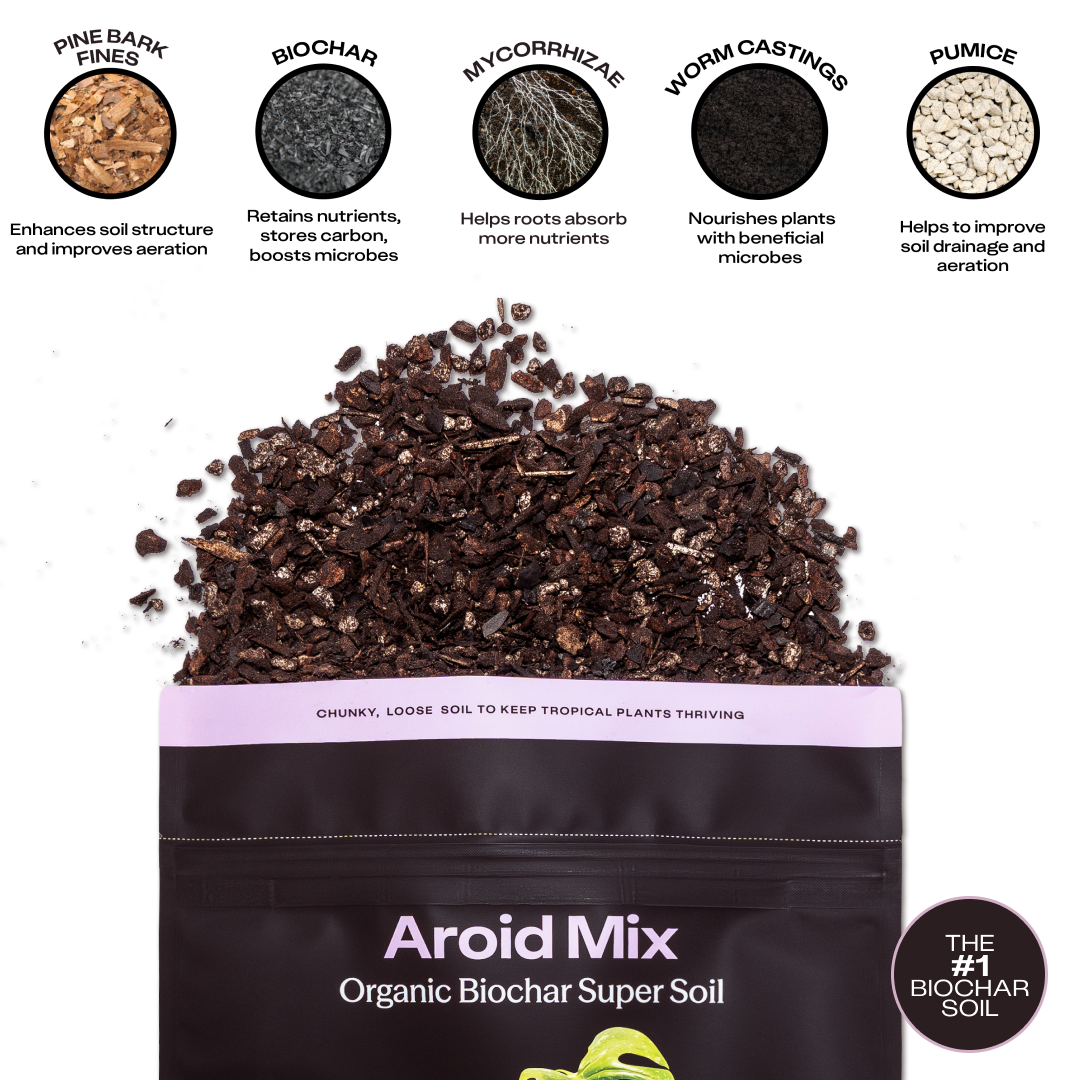 4 qt. Rosy Soil Aroid Soil Mix