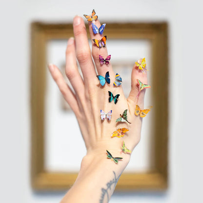 ’Tulip' Micro Moth & Butterfly Collection