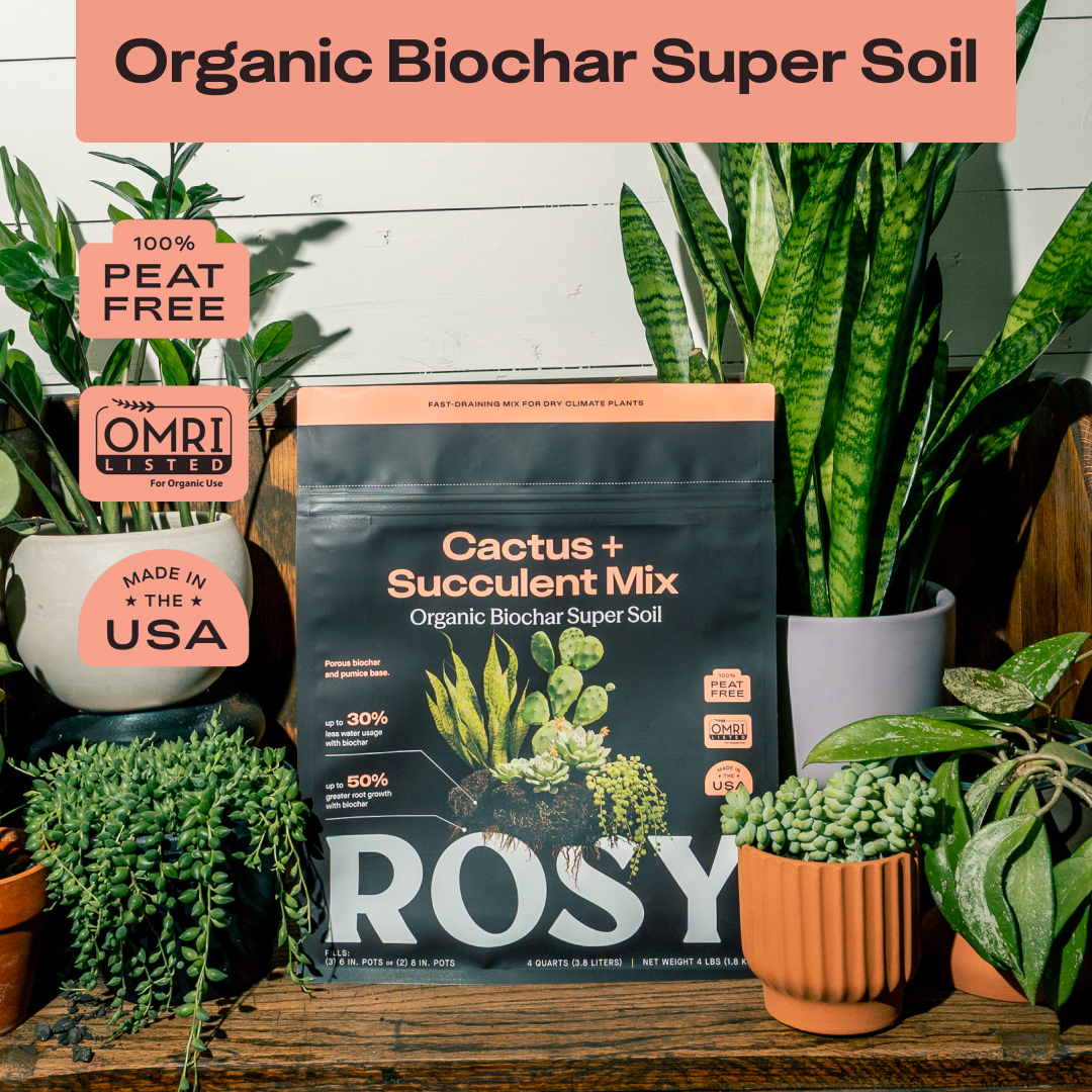 4 qt. Rosy Soil Cactus & Succulent Soil Mix