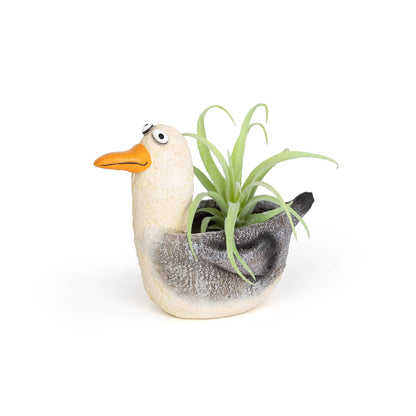 Gulliver The Seagull Blobhouse® Planter
