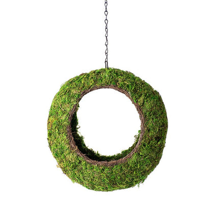 Hanging moss wreath with grapevine base and metal chain, perfect for indoor botanical decor