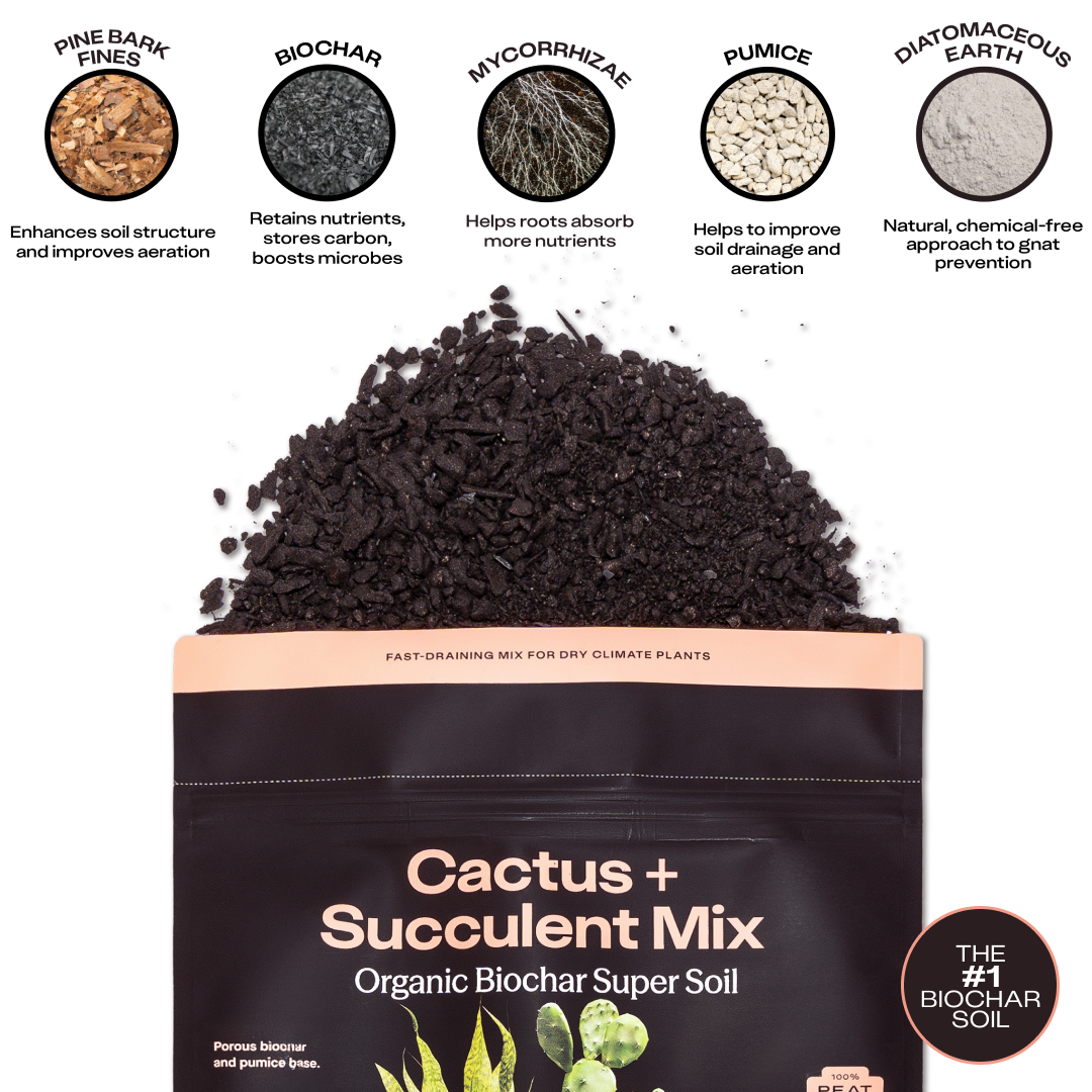 4 qt. Rosy Soil Cactus & Succulent Soil Mix