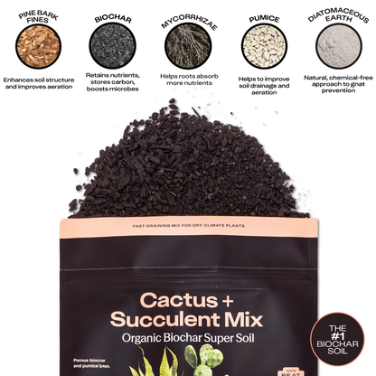4 qt. Rosy Soil Cactus & Succulent Soil Mix