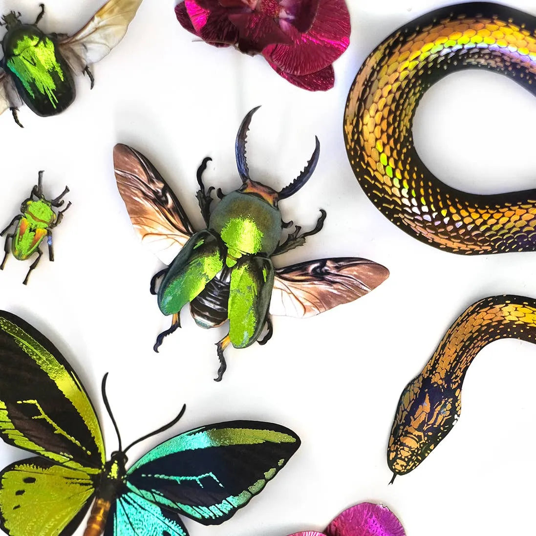 'Undergrowth' Foil-Embellished Beetle 4 piece Set