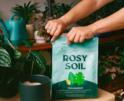 4 qt Organic potting soil mix, indoor, houseplant & herbs