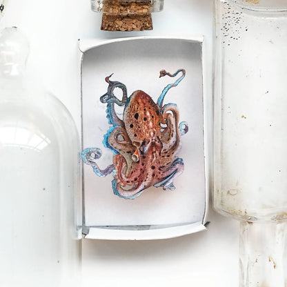 'Biophilia' Micro Specimen Collection