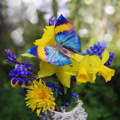 'Dawn' Butterfly Set