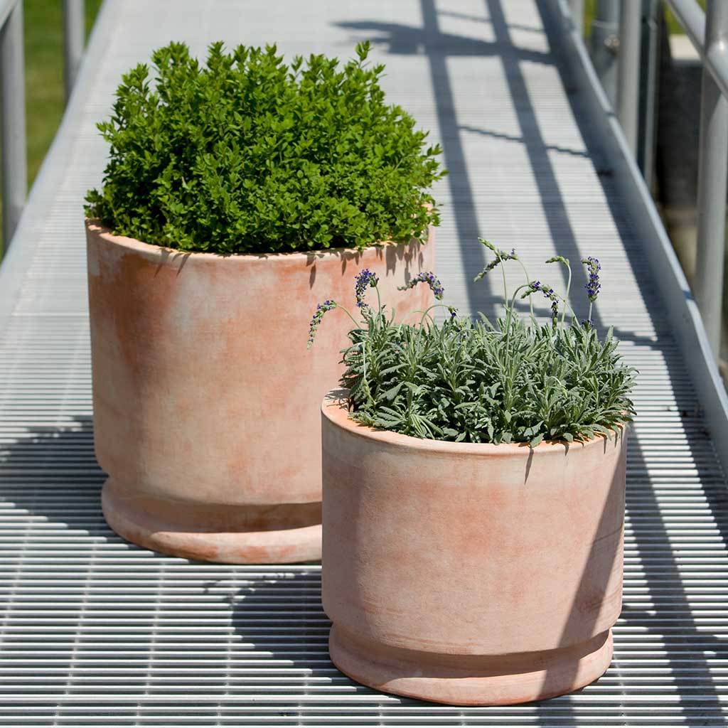 Campania Sombra Planter