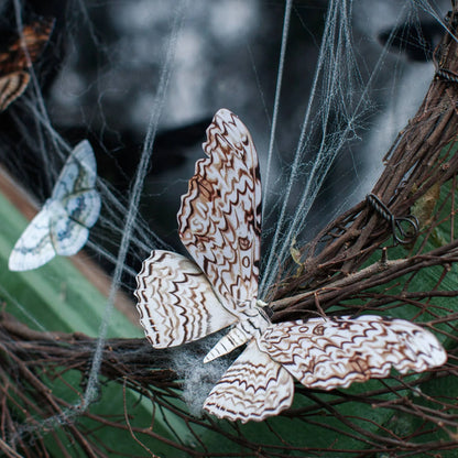 Halloween 'Witch' Paper Moth Set