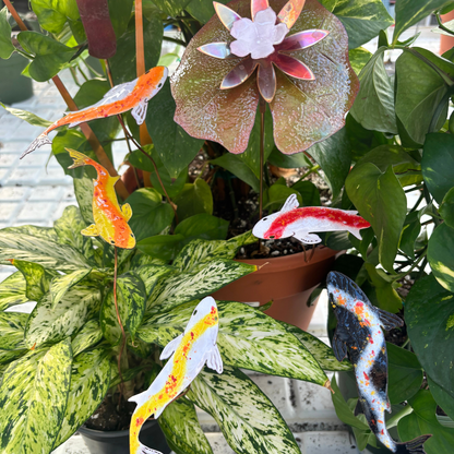 Copper Enamel Koi