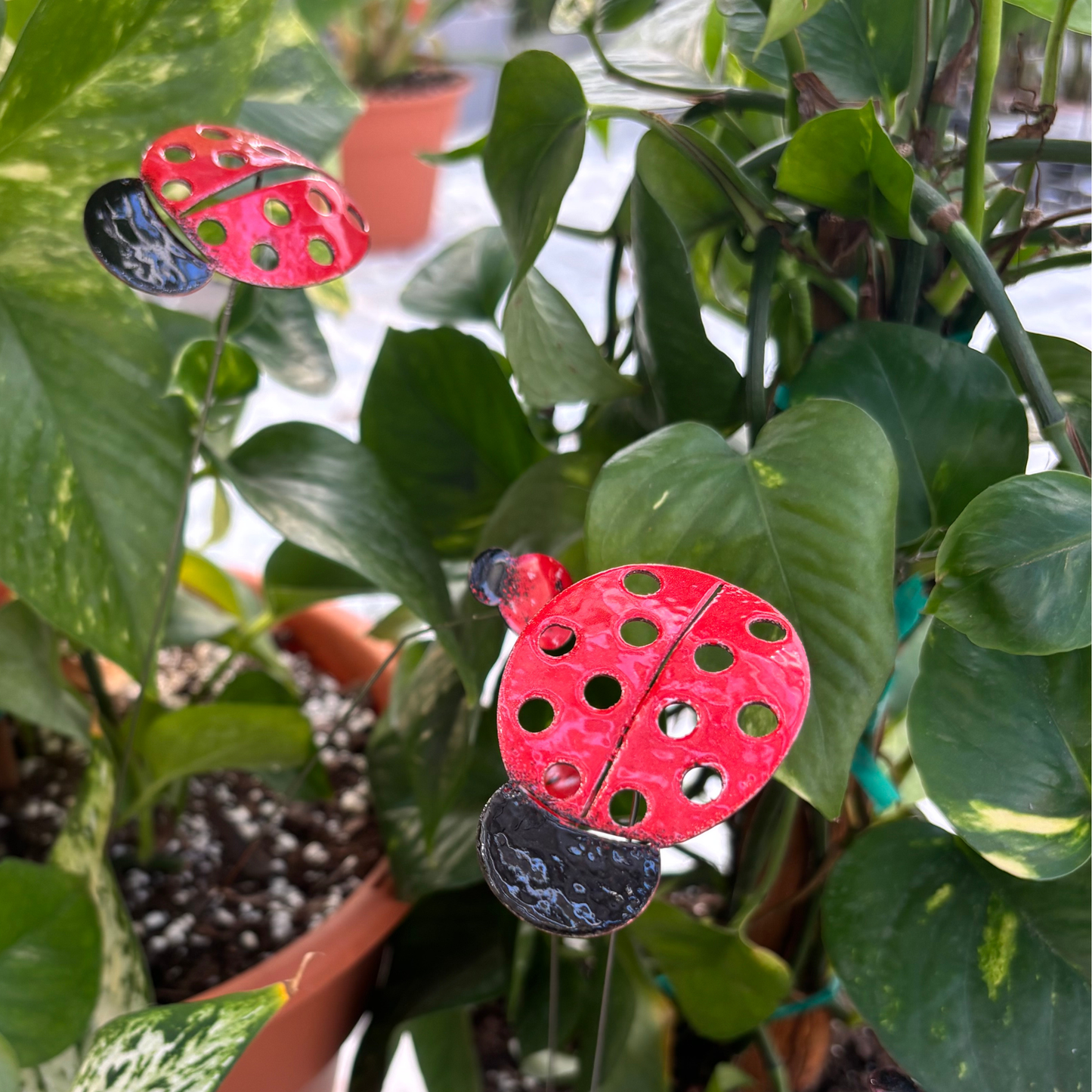 Copper Enamel Ladybug