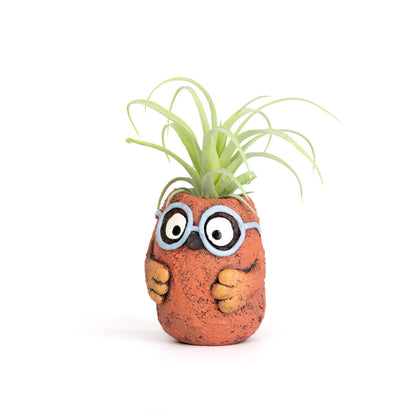 Owlbert the Owl with Glasses Blobhouse Planter
