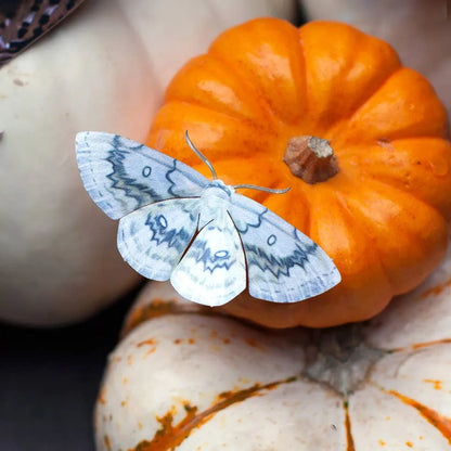 Halloween 'Witch' Paper Moth Set
