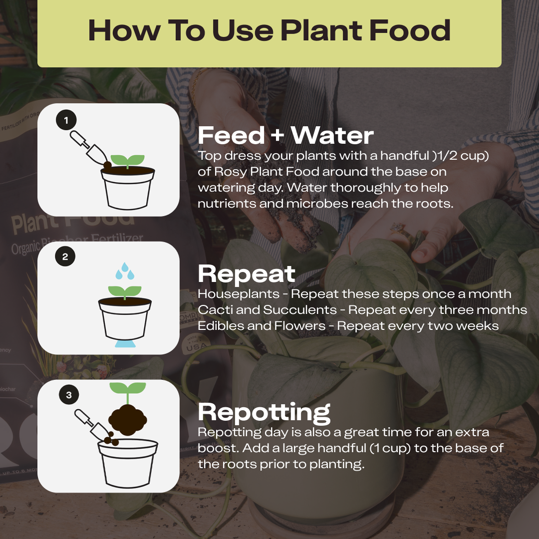 4 qt. Rosy Soil Plant Food