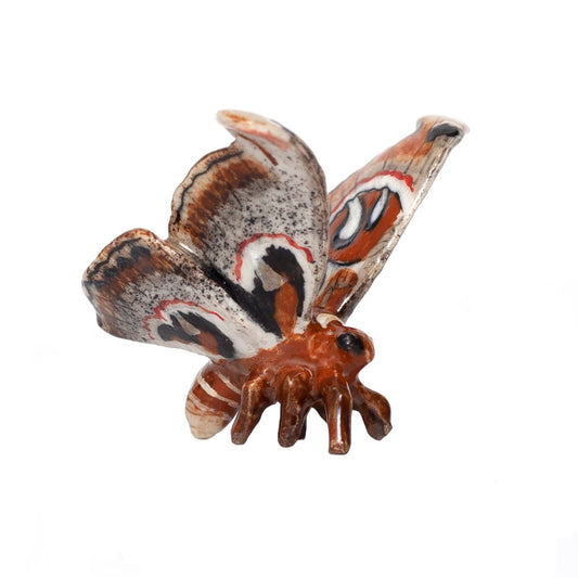 Porcelain Atlas Moth Figurine