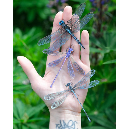 'Aerial' Dragonfly 3 Piece Set