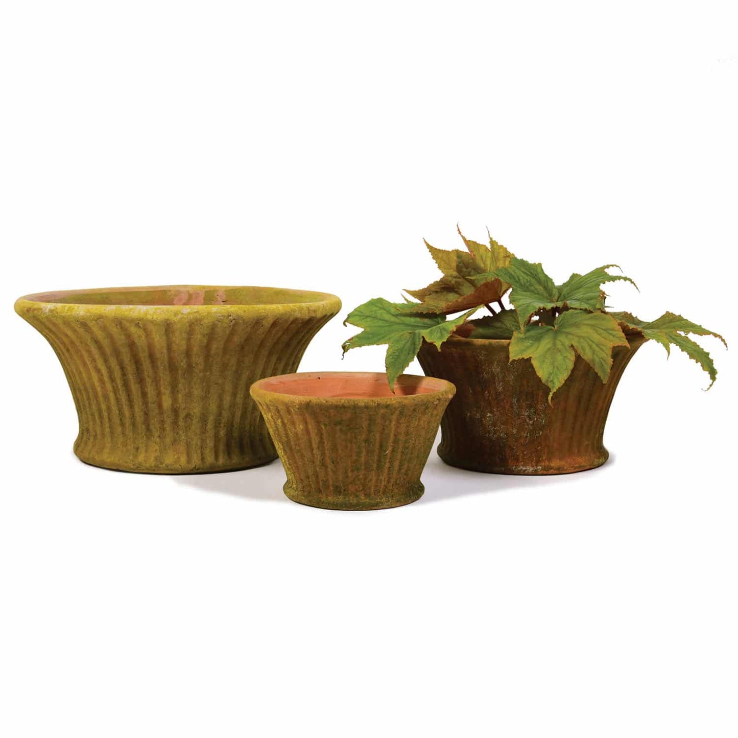 Aged Short Striato Planters