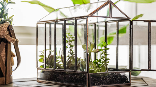 Greenhouse Glass and Metal Terrarium Bronze 10 x 7 x 10