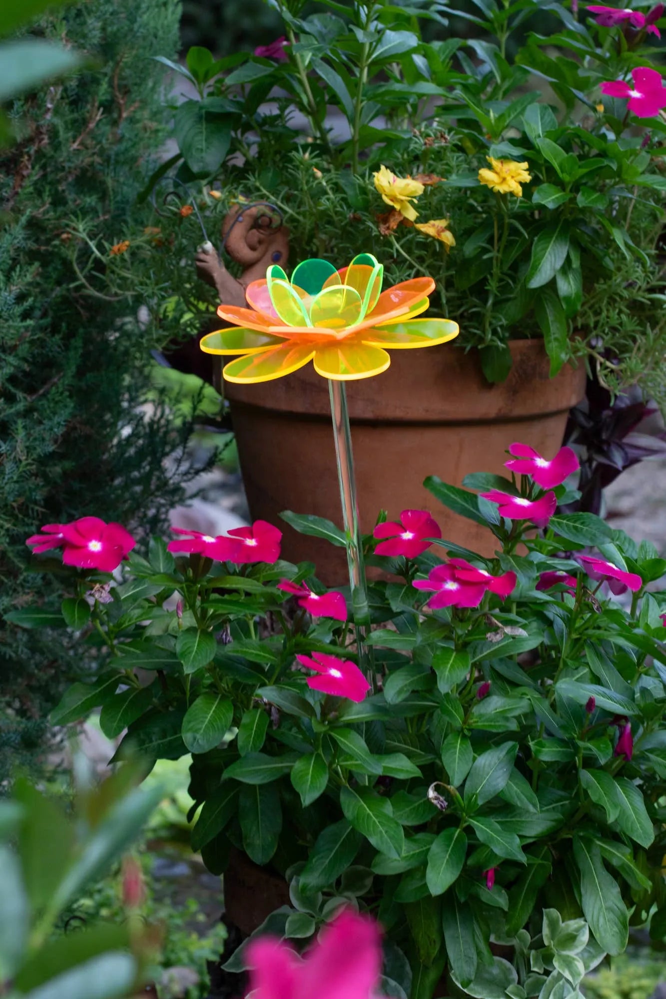 Mother's Day garden gift - Wanda Lotus