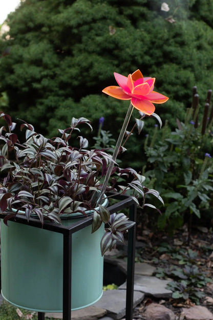 Neon Pink Daffodil plant stake | spring decor line