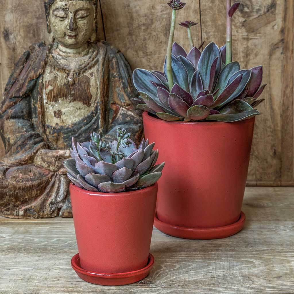 Campania Nikki Planter