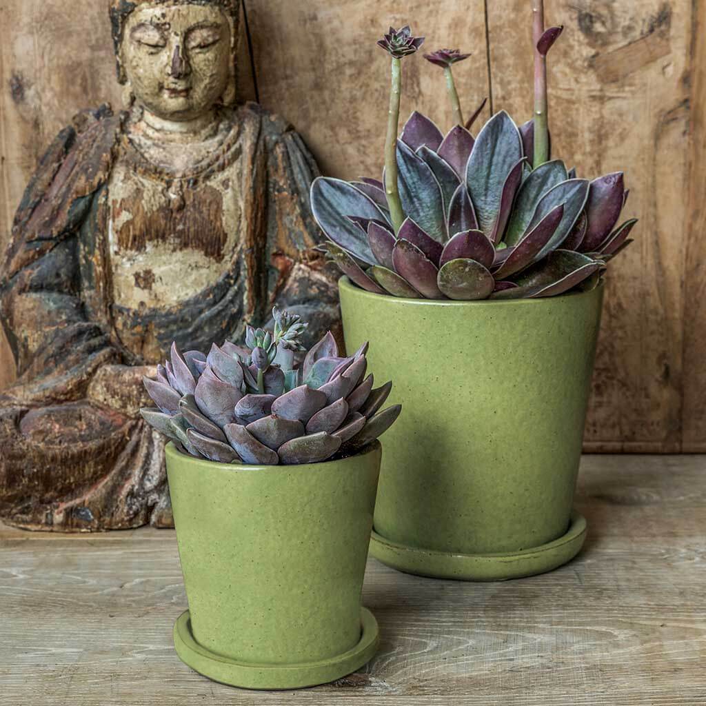 Campania Nikki Planter