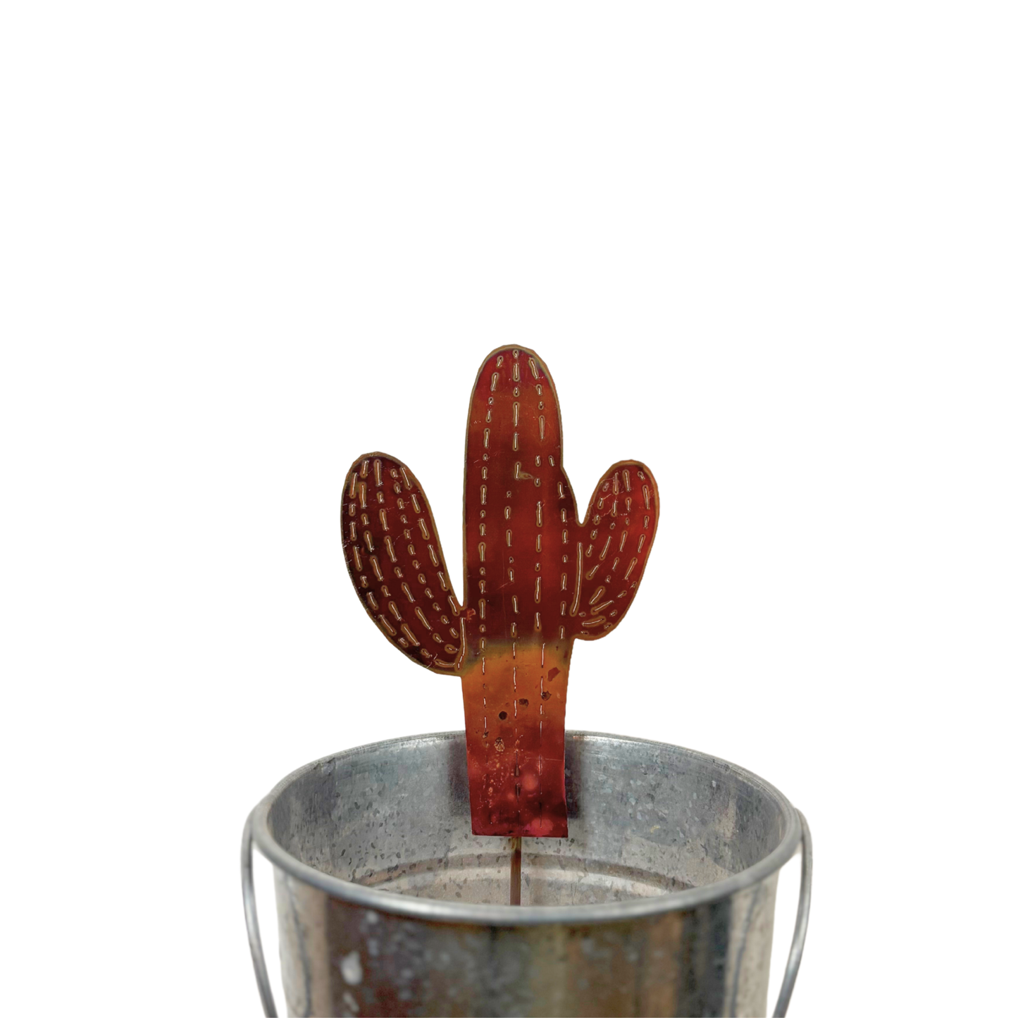 Natural Copper Lined Cactus
