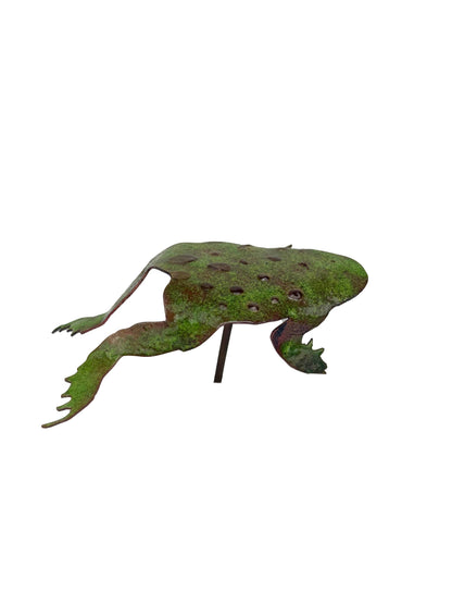 Natural Copper Frog