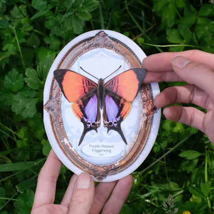 Purple-Stained Daggerwing Oval Greeting Card