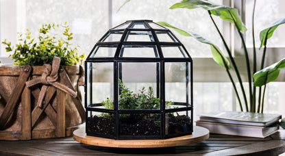 Large Birdcage Glass and Metal Terrarium 10 x 9
