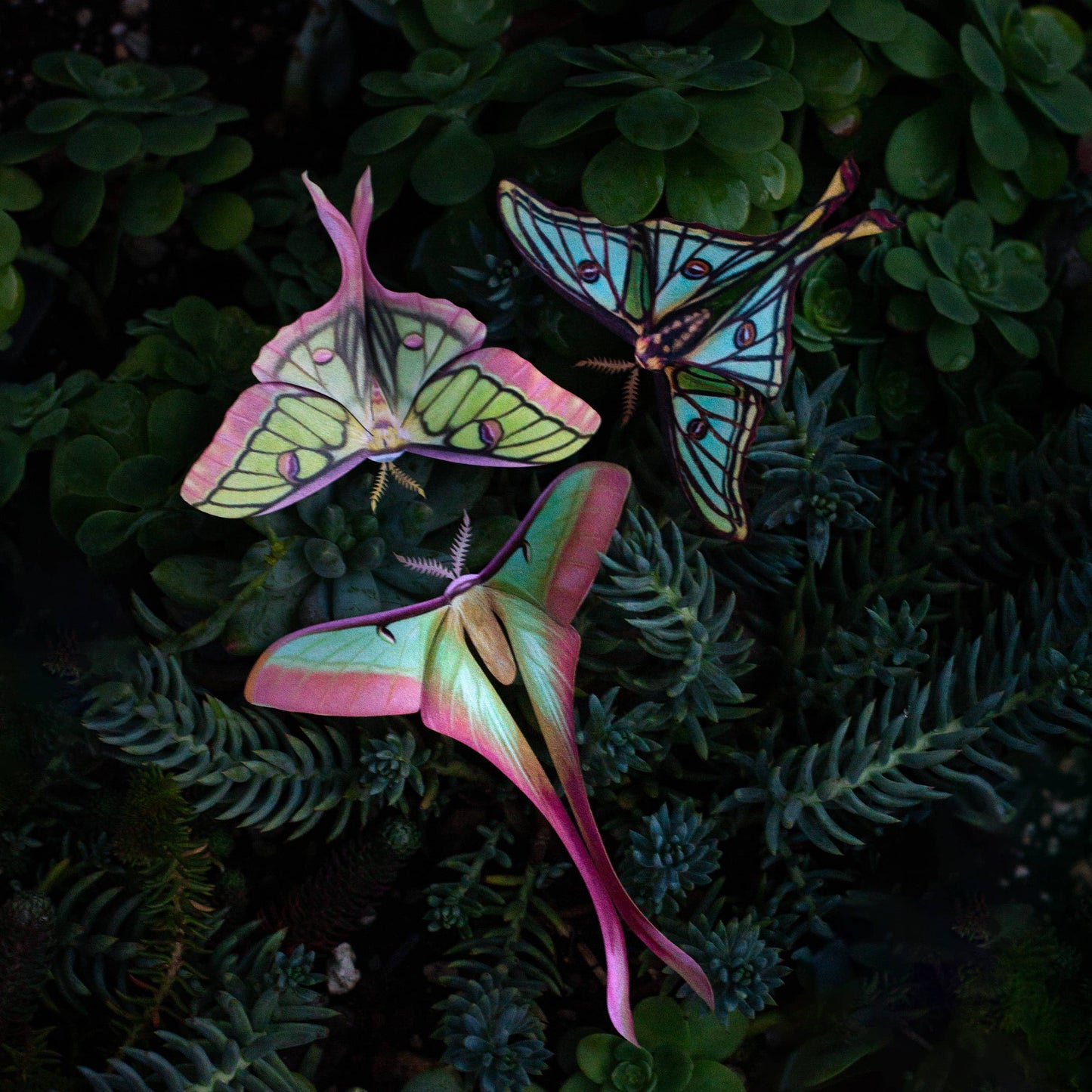 Moonborn Luna Moth Collection - 3 Piece Set