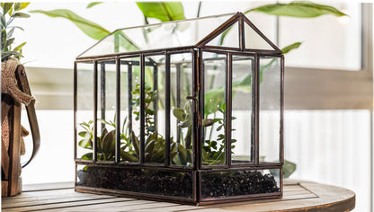 Greenhouse Glass and Metal Terrarium Bronze 10 x 7 x 10