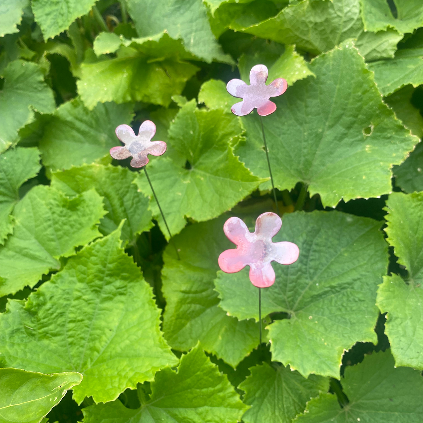 Natural Copper Flowers