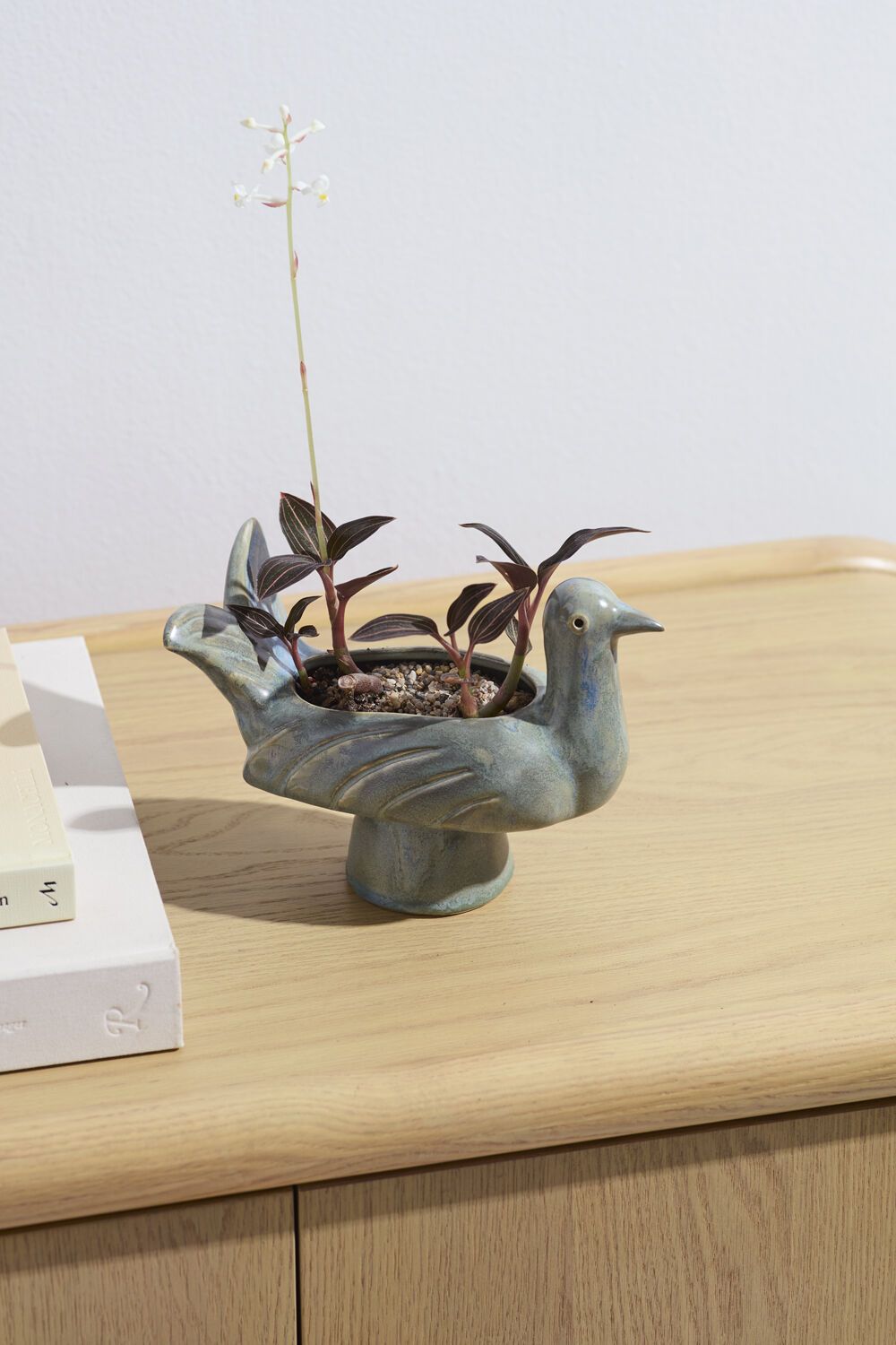 Shorebird Planter