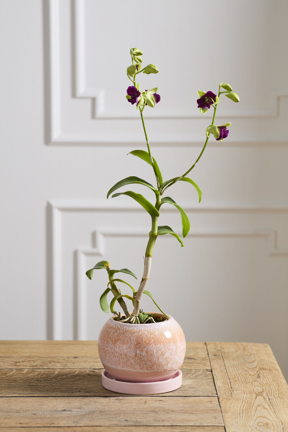 Casey Pot with Saucer