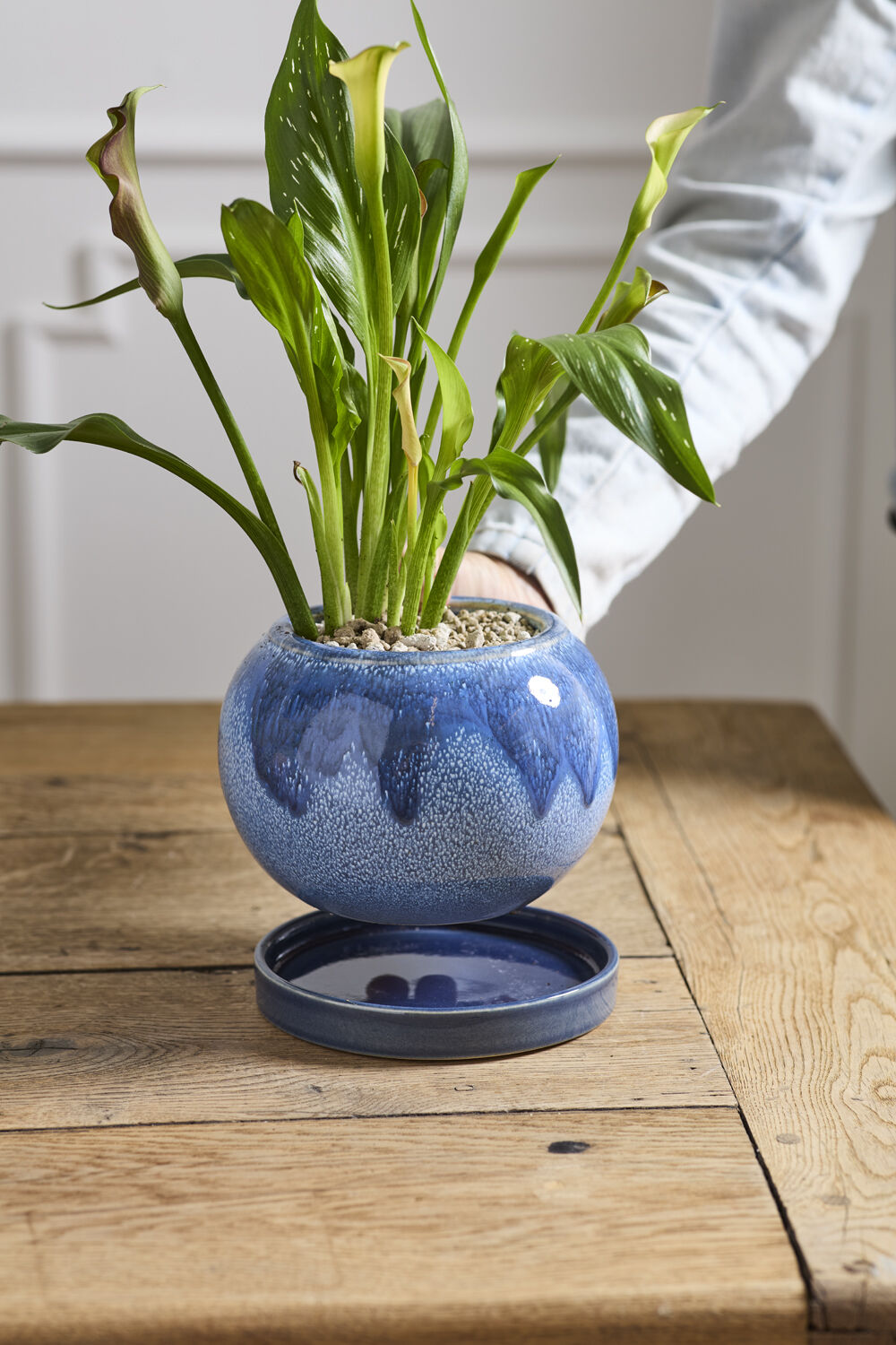 Casey Pot with Saucer